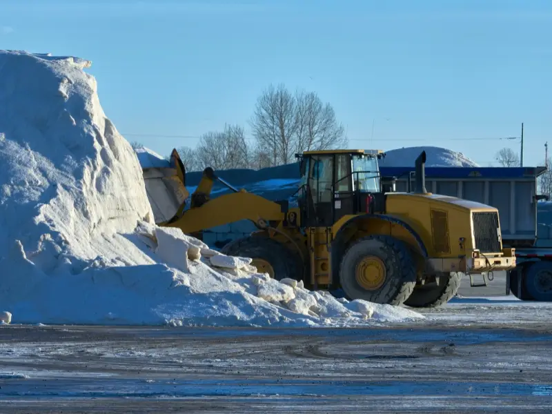 Read more about the article Spotlight on Loading Shovels